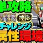 【全ギミック対応】1周21分で神秘チャレンジ攻略！F91の最強テンプレ編成！代用&立ち回り全階層解説！【パズドラ】