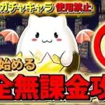 パズドラ完全無課金攻略=20