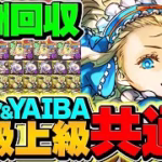 【絶対に見て】魔法石20個を今すぐゲットしよう！名探偵コナン&YAIBAコラボLV1-LV10共通編成【パズドラ】