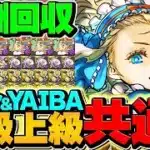 【絶対に見て】魔法石20個を今すぐゲットしよう！名探偵コナン&YAIBAコラボLV1-LV10共通編成【パズドラ】