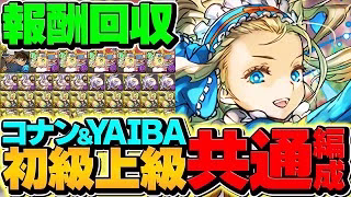 【絶対に見て】魔法石20個を今すぐゲットしよう！名探偵コナン&YAIBAコラボLV1-LV10共通編成【パズドラ】