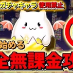 パズドラ完全無課金攻略=25