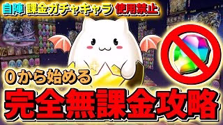 パズドラ完全無課金攻略=25