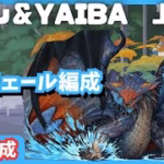 【パズドラ】名探偵コナン＆真・侍伝YAIBAコラボ　上級編　共通編成