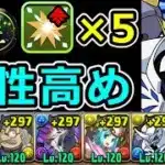 【木星チャレンジ】いまだ最強格リーダー！オメガモンで攻略！部位破壊も【パズドラ】