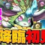 ラヴィッシュ降臨を初見攻略チャレンジ！久々の新降臨が激熱すぎる！！！【パズドラ】