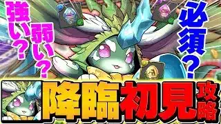 ラヴィッシュ降臨を初見攻略チャレンジ！久々の新降臨が激熱すぎる！！！【パズドラ】