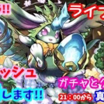 パズドラ🌟ライブ配信🌟ラヴィッシュ降臨周回していきます！！ガチャとクエスト🐶雑談枠