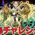 【パズドラ】神秘チャレンジ！ 出すか、最強パーティーを