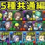 【条件クリア全対応】学園ヴォルスーン降臨をバレンタインノアで簡易周回！【パズドラ】