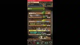 パズドラ  ガチャ