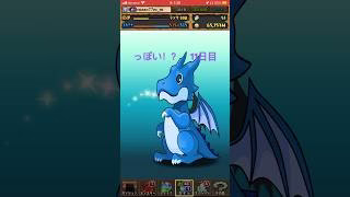 【パズドラ】動画視聴でガチャ っぽい！？11日目！？　ガンホーコラボ #ゲーム実況 #パズドラ実況 #shortsvideo #shorts #shortsを上げてます