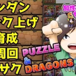 【#縦型配信】12億コロシアムを少々【#パズドラ】