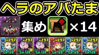【ヘラのアバたま集め】ダンボ14のバレンタインノア編成でゼウスGIGA降臨を高速周回！闇無効パ組みたい人へ【パズドラ】
