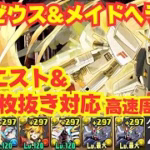 〜パズドラ〜 全クエスト&1枚抜き対応!!F91編成で高速安定周回[執事ゼウス&メイドヘラ降臨]