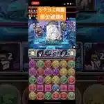 ツクヨミ降臨 (ガンホーコラボ)　周回編成 (2人マルチ / 部位破壊8 / パス多め)　【パズドラ】