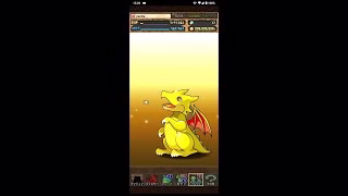 【パズドラ】無料配布分のガチャ１年分を回す（24′ 5 ~ 25′ 5）