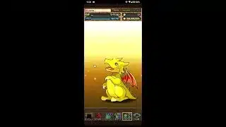 【パズドラ】無料配布分のガチャ１年分を回す（24′ 5 ~ 25′ 5）