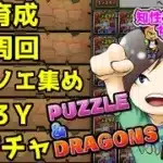 【#縦型配信】日課消化！未クリアダンジョンか、3Yか8サク！！【#パズドラ】