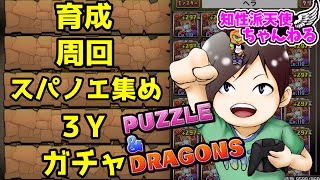 【#縦型配信】日課消化！未クリアダンジョンか、3Yか8サク！！【#パズドラ】
