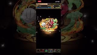 パズドラ　ハイキュー!!5連