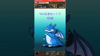 【パズドラ】動画視聴でガチャついに7日目に！？　ガンホーコラボ #ゲーム実況 #パズドラ実況 #shortsvideo #shorts #shortsを上げてます