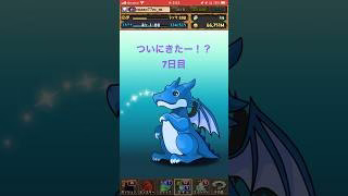 【パズドラ】動画視聴でガチャついに7日目に！？　ガンホーコラボ #ゲーム実況 #パズドラ実況 #shortsvideo #shorts #shortsを上げてます