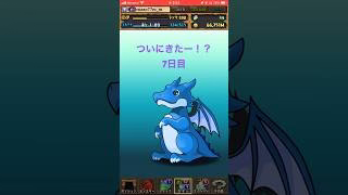 【パズドラ】動画視聴でガチャついに7日目に！？　ガンホーコラボ #ゲーム実況 #パズドラ実況 #shortsvideo #shorts #shortsを上げてます