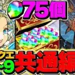 【神アプデ】魔法石75個をゲット！5月クエストLV1-LV9共通編成！代用&立ち回り解説！【パズドラ】