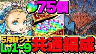 【神アプデ】魔法石75個をゲット！5月クエストLV1-LV9共通編成！代用&立ち回り解説！【パズドラ】