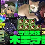 💎初クリア魔法石『85個』GET&全部位破壊💎動物好きメイド・ハク採用一撃2340億ループ黒薔薇ロゼッタ編成☕️部位破壊7個☕️木星の守護者☕️守霊の天体【パズドラ】
