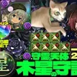 💎初クリア魔法石『85個』GET&全部位破壊💎動物好きメイド・ハク採用一撃2340億ループ黒薔薇ロゼッタ編成☕️部位破壊7個☕️木星の守護者☕️守霊の天体【パズドラ】