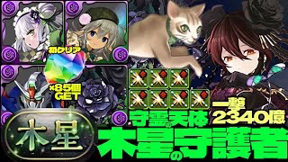 💎初クリア魔法石『85個』GET&全部位破壊💎動物好きメイド・ハク採用一撃2340億ループ黒薔薇ロゼッタ編成☕️部位破壊7個☕️木星の守護者☕️守霊の天体【パズドラ】