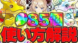 魔法石85個の絶対に損しない使い方解説！ガンコラvsロゼッタについて解説します！【パズドラ】