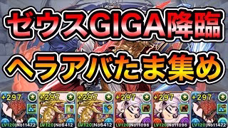【パズドラ】ヘラアバたま武器を集めよう！全敵対応！神々の聖跡！転生ゼウスGIGA降臨！ダンボ22！1周4分台！ずらしのみ！ネロミェール編成で安定周回！【概要欄に立ち回りなど記載】