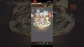 【PUZZLE & DRAGONS】魔法石7個！ガンホーコラボガチャ2　5連 2025年 5月【パズドラ】