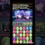 希石hunting – 星を紡ぐ精霊コロシアム – 劍姬 #パズドラ #龍族拼圖 #puzzleanddragons #星を紡ぐ精霊