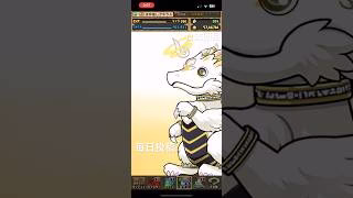 ガチャpart1255【2025/3/11】#パズドラ #毎日投稿