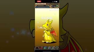 ガチャpart1259【2025/3/15】#パズドラ #毎日投稿