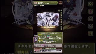 【解説】無課金ハデドラ爆誕！ティー武器はロゼッタ強化パーツに【パズドラ】