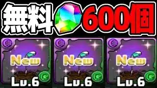 【今がチャンス】運営、完全にやらかす【パズドラ】