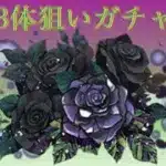 無課金が黒薔薇ロゼッタループ狙いで最終日にガチャ【パズドラ/星を紡ぐ精霊】