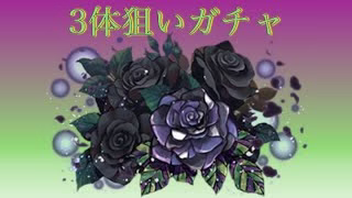 無課金が黒薔薇ロゼッタループ狙いで最終日にガチャ【パズドラ/星を紡ぐ精霊】