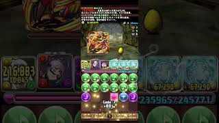 【パズドラ】ゼウスあばたま武器　周回　正月ノルディス編成
