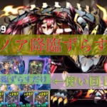 【ツクヨミの使い回し】竜王ノア降臨をずらすだけ周回【パズドラ】