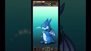 【パズドラ】デイトナかシーウルフ出るまで毎日動画視聴ガチャ1190日目！2025/6/10 #パズドラ #shorts
