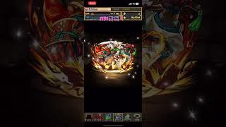 【1191日目】毎日単発ガチャ【パズル&ドラゴンズ】