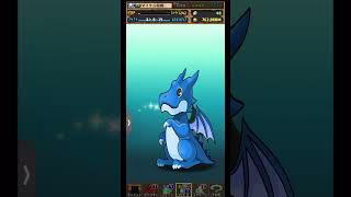 【パズドラ】デイトナかシーウルフ出るまで毎日動画視聴ガチャ1206日目！2025/6/28 #パズドラ #shorts