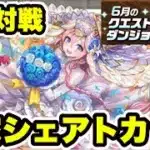 【魔法石15個GET】6月の8人対戦‼️花嫁シェアトカップ 立ち回り紹介！！【パズル&ドラゴンズ/#パズドラ】