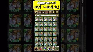 【㊗️花嫁ベオーク一面達成】全ヘラシリーズも1面予定！？#パズドラ#shorts #ジュンブラ